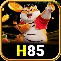 h85 - 5